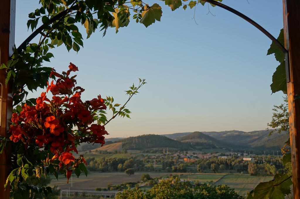 Podere Sette Piagge *