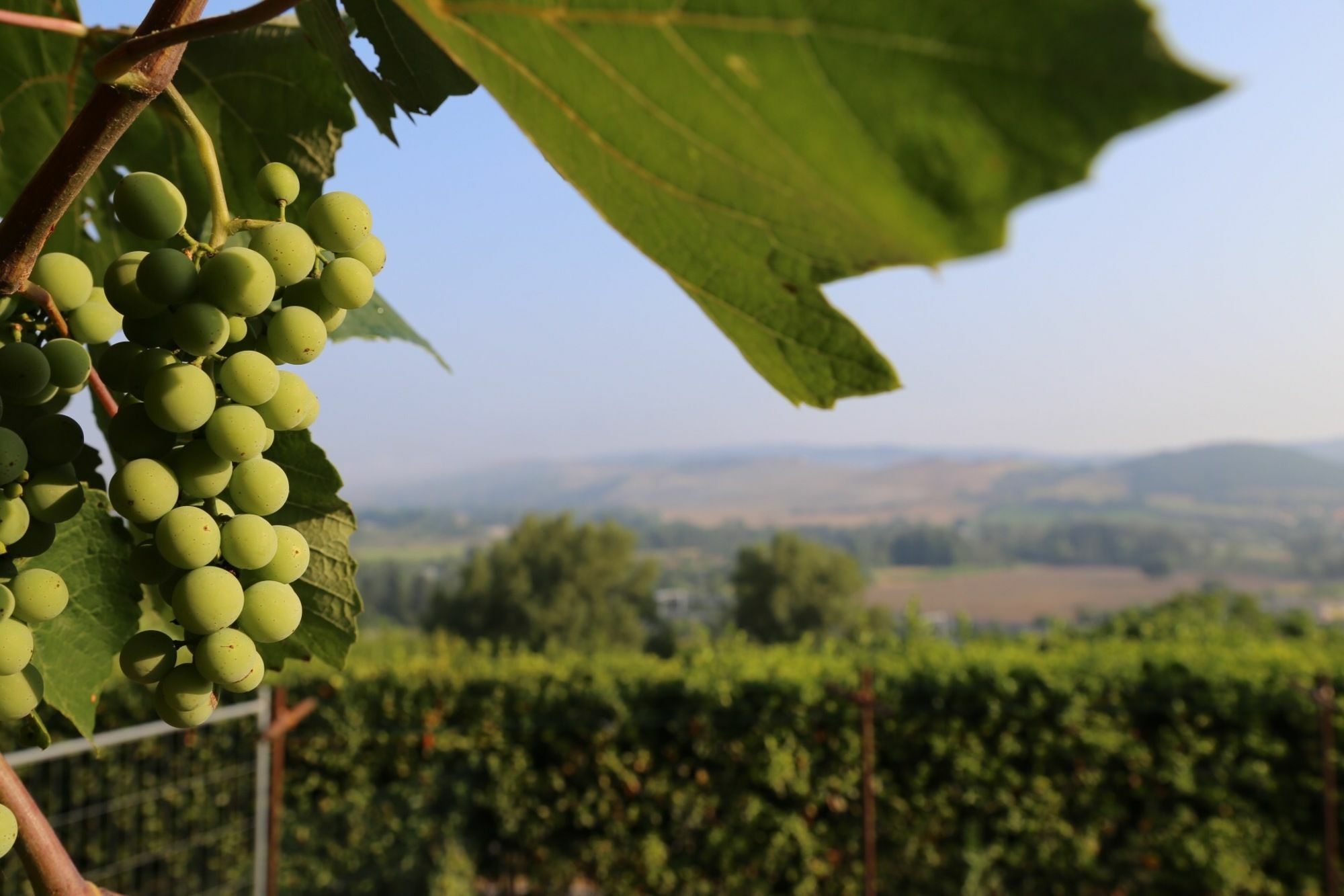 Landhaus Podere Sette Piagge Orvieto